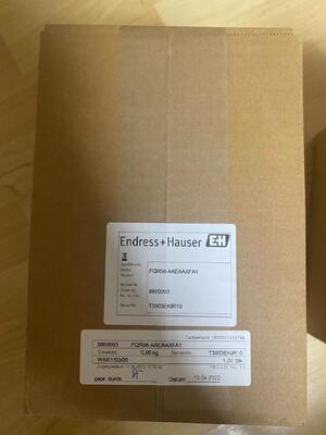 Endress Hauser FQR56-AAEAAXFA1 Генератор высокоустойчивого сигнала для промышленных измерительных систем