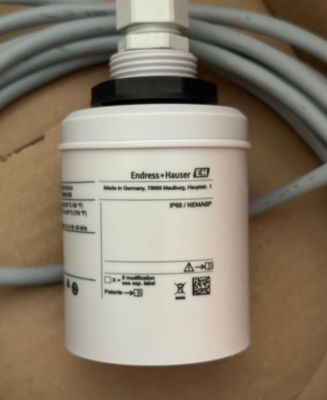 Ультразвуковой датчик уровня Endress Hauser FDU91-RG1AA