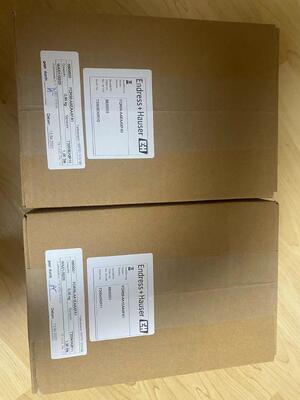 Endress Hauser FQR56-AAEAAXFA1 Генератор высокоустойчивого сигнала для промышленных измерительных систем